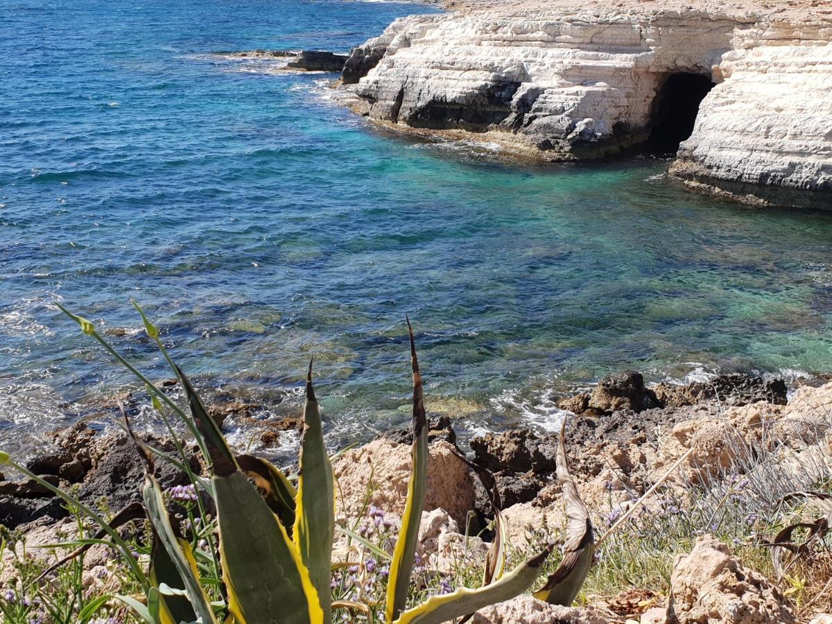 Beautiful studio Z104 in Vanessa Complex Peyia Exterior foto